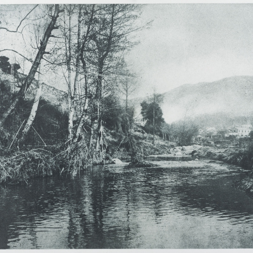 image for: Josep Maria Casals i Ariet - Paisatge - No datat