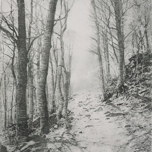 image for: Josep Maria Casals i Ariet - Santa Fe del Montseny - Cap a 1955