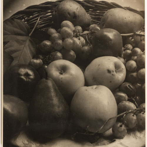 image for: Otho Lloyd - Natura morta - Cap a 1944-1950