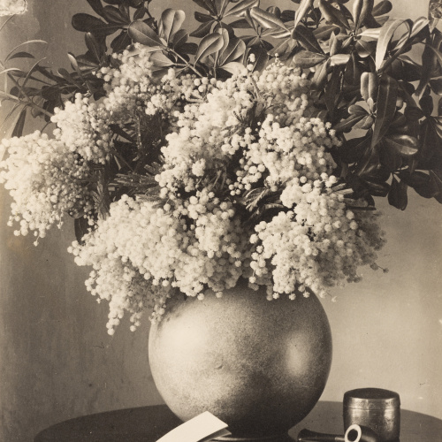 image for: Otho Lloyd - Natura morta - Cap a 1944