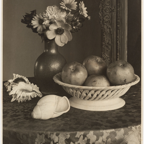 image for: Otho Lloyd - Natura morta - Cap a 1944-1950