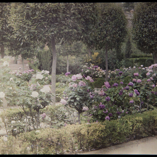 image for: Francesc Carrera Bou - Jardí - Cap a 1926