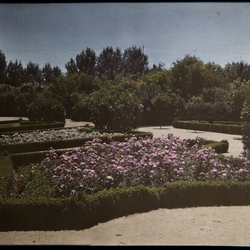 image for: Francesc Carrera Bou - Jardí - Cap a 1926