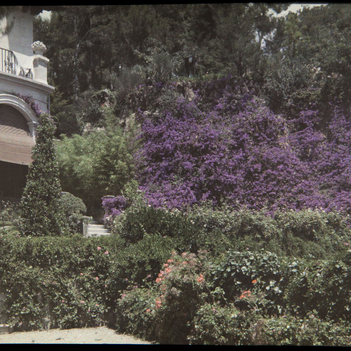 image for: Francesc Carrera Bou - Jardí - Cap a 1926