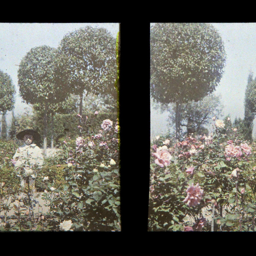 image for: Francesc Carrera Bou - Nena en un jardí - Cap a 1926
