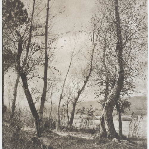 image for: Josep Maria Casals i Ariet - Paisatge - No datat