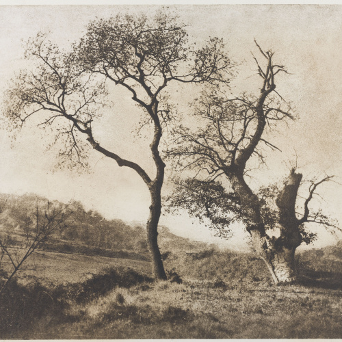 image for: Josep Maria Casals i Ariet - Paisatge (Balenyà [?], Tona [?]) - Cap a 1940-1948