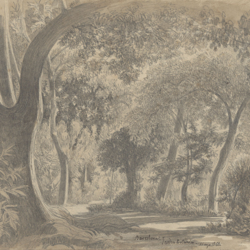 image for: Lluís Rigalt - Barcelona. Jardí Botànic - Maig de 1868
