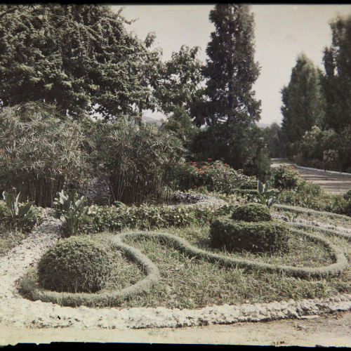 image for: Francesc Carrera Bou - Jardí - Cap a 1926