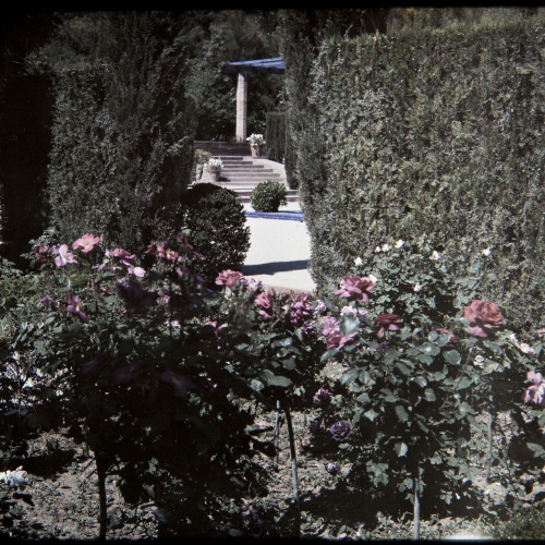 image for: Francesc Carrera Bou - Jardí del pavelló Benavent a Montjuïc (Barcelona) - Cap a 1926
