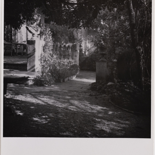 image for: Otho Lloyd - Jardí de la casa del Putxet (Barcelona) - Cap a 1945-1948