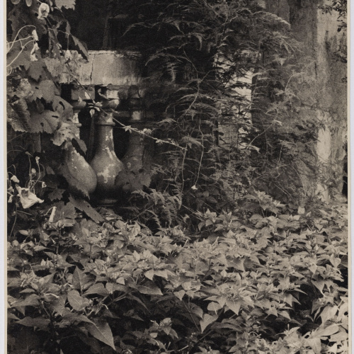 image for: Otho Lloyd - Jardí de la casa del Putxet (Barcelona) - Cap a 1948