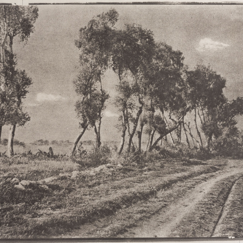 image for: Josep Maria Casals i Ariet - Camí de poble - Cap a 1930-1950