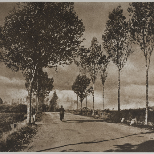 image for: Josep Maria Casals i Ariet - Camí de poble - No datat