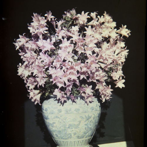 image for: Francesc Carrera Bou - Gerro amb flors - Cap a 1922-1926