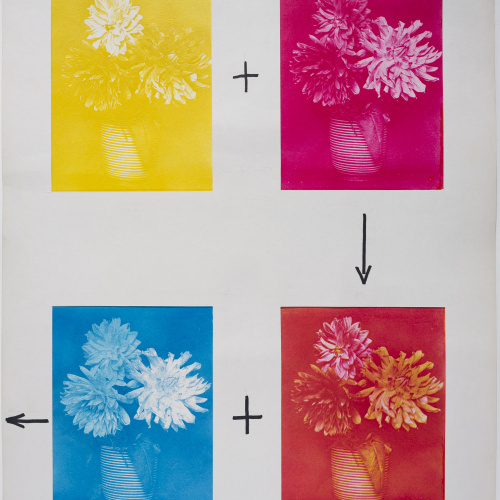 image for: Josep Maria Casals i Ariet - Proves per a " Gerro amb flors" - No datat