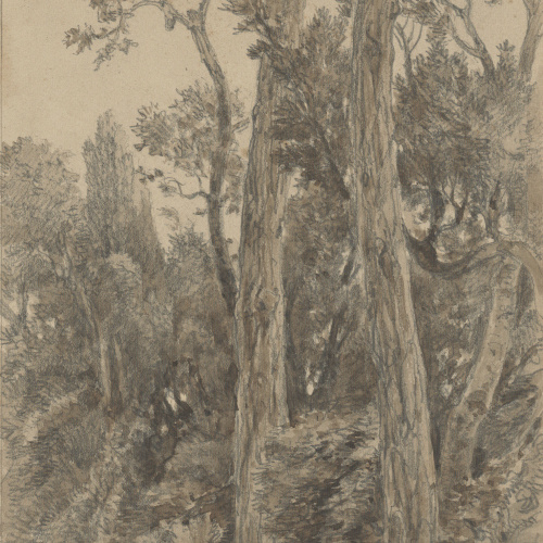 image for: Lluís Rigalt - Arbreda - Cap a 1860-1870