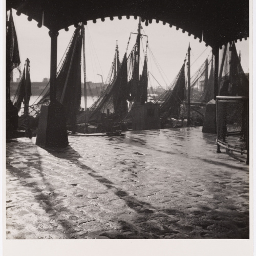 image for: Otho Lloyd - Llotja del Peix (Barcelona) - 1948