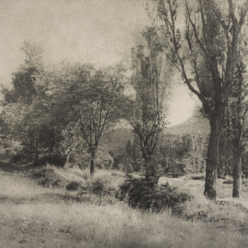 image for: Josep Maria Casals i Ariet - Paisatge - Cap a 1930-1950