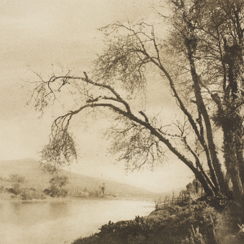image for: Josep Maria Casals i Ariet - Paisatge - No datat