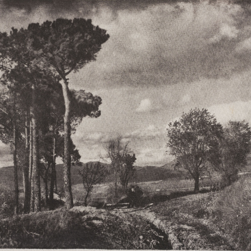 image for: Josep Maria Casals i Ariet - Paisatge - No datat