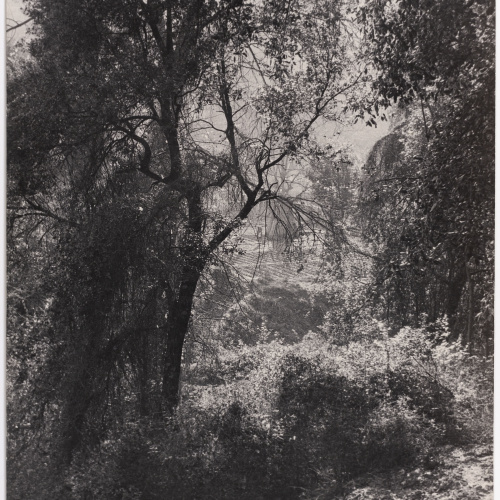 image for: Otho Lloyd - Paisatge - Cap a 1944-1950