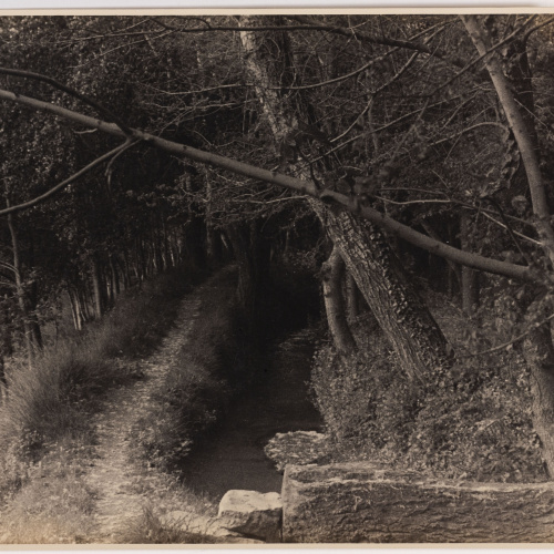 image for: Otho Lloyd - Paisatge - Cap a 1944-1950