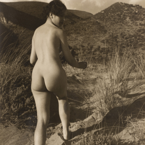 image for: Otho Lloyd - Nu femení en un paisatge - Cap a 1944-1950