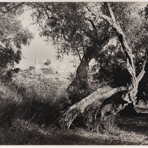 image for: Otho Lloyd - Paisatge - Cap a 1944-1950