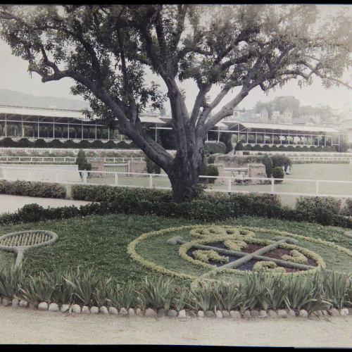 image for: Francesc Carrera Bou - Escut floral del Reial Polo Jòquei Club (Barcelona) - Cap a 1922-1926
