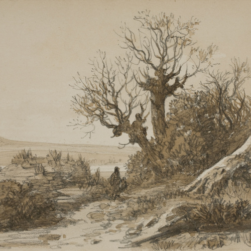 image for: Lluís Rigalt - Paisatge - Gener de 1874