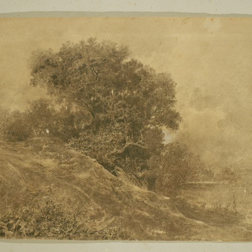 image for: Baldomer Galofre - Paisatge - Cap a 1887-1889