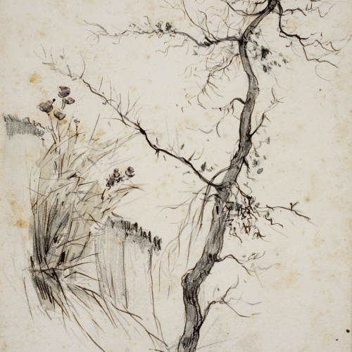 image for: Modest Urgell - Paisatge - Cap a 1864