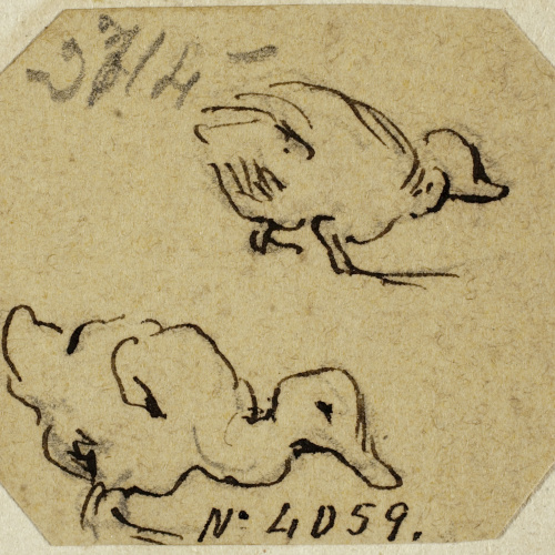 image for: Modest Urgell - Ànecs - Cap a 1864