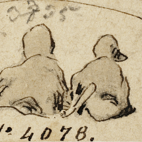 image for: Modest Urgell - Ànecs - Cap a 1864