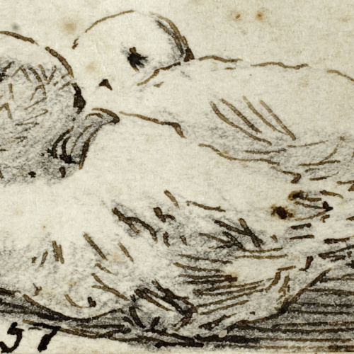 image for: Modest Urgell - Ànecs - Cap a 1864