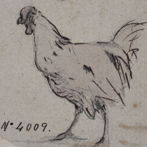 image for: Modest Urgell - Gallina - Cap a 1864