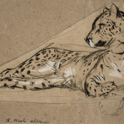 image for: Ramon Martí i Alsina - Lleopard - Cap a 1862