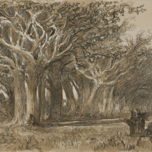 image for: Lluís Rigalt - Bosc - Gener de 1874