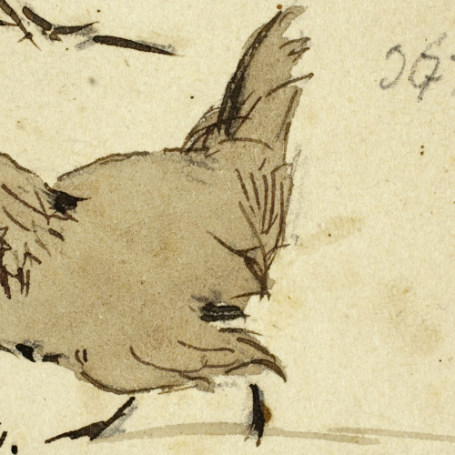 image for: Modest Urgell - Gallina - Cap a 1864