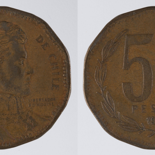 image for: República de Xile - 50 pesos - 1991