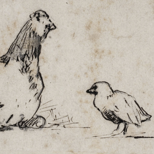 image for: Modest Urgell - Gallina i pollets - Cap a 1864