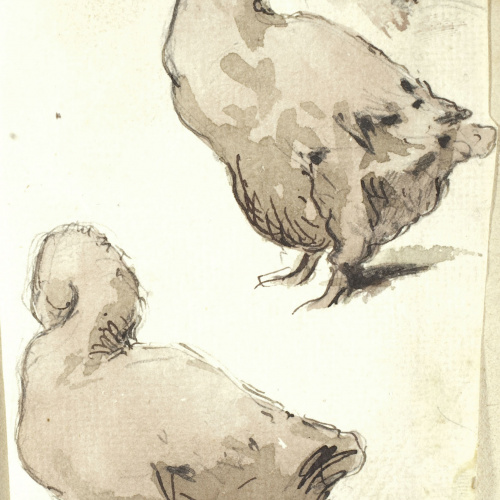 image for: Modest Urgell - Oques - Cap a 1864