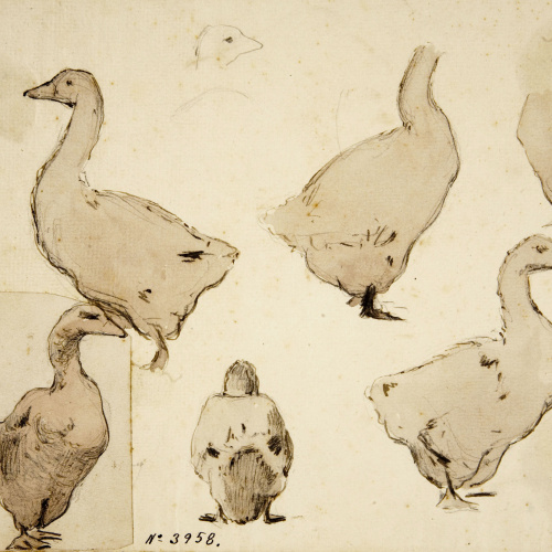 image for: Modest Urgell - Oques - Cap a 1861-1888