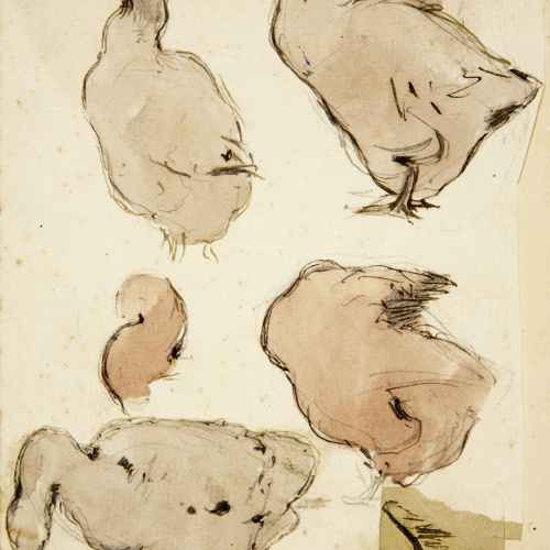 image for: Modest Urgell - Oques - Cap a 1861-1888