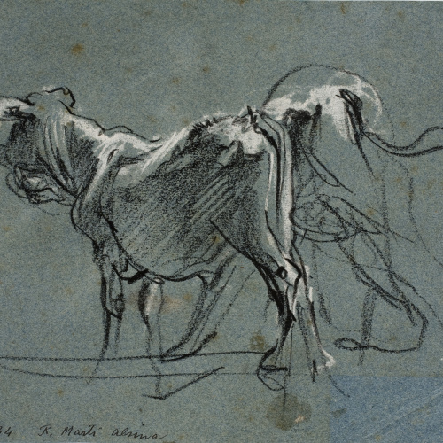 Ramon Martí i Alsina - Croquis d'uns bous - Cap a 1860-1870 image for: Ramon Martí i Alsina - Croquis d'uns bous - Cap a 1860-1870