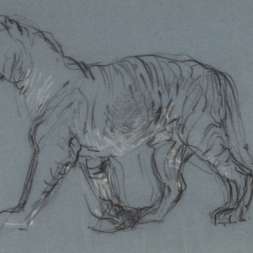 image for: Ramon Martí i Alsina - Una lleona - Cap a 1870-1880