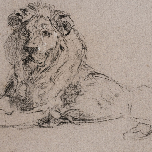 image for: Ramon Martí i Alsina - Un lleó - Cap a 1862