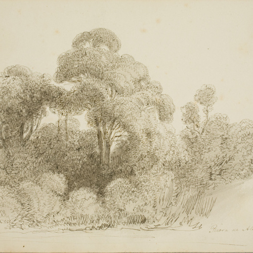 image for: Lluís Rigalt - Riera de Alella - Cap a 1850