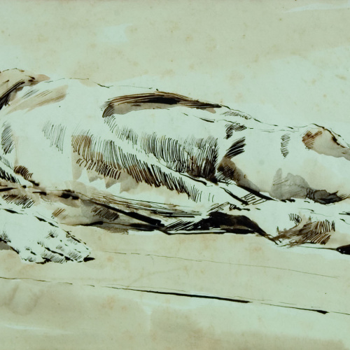 image for: Antoni Fabrés - Cadàver tunisià - 1886